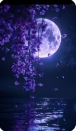 In the dark